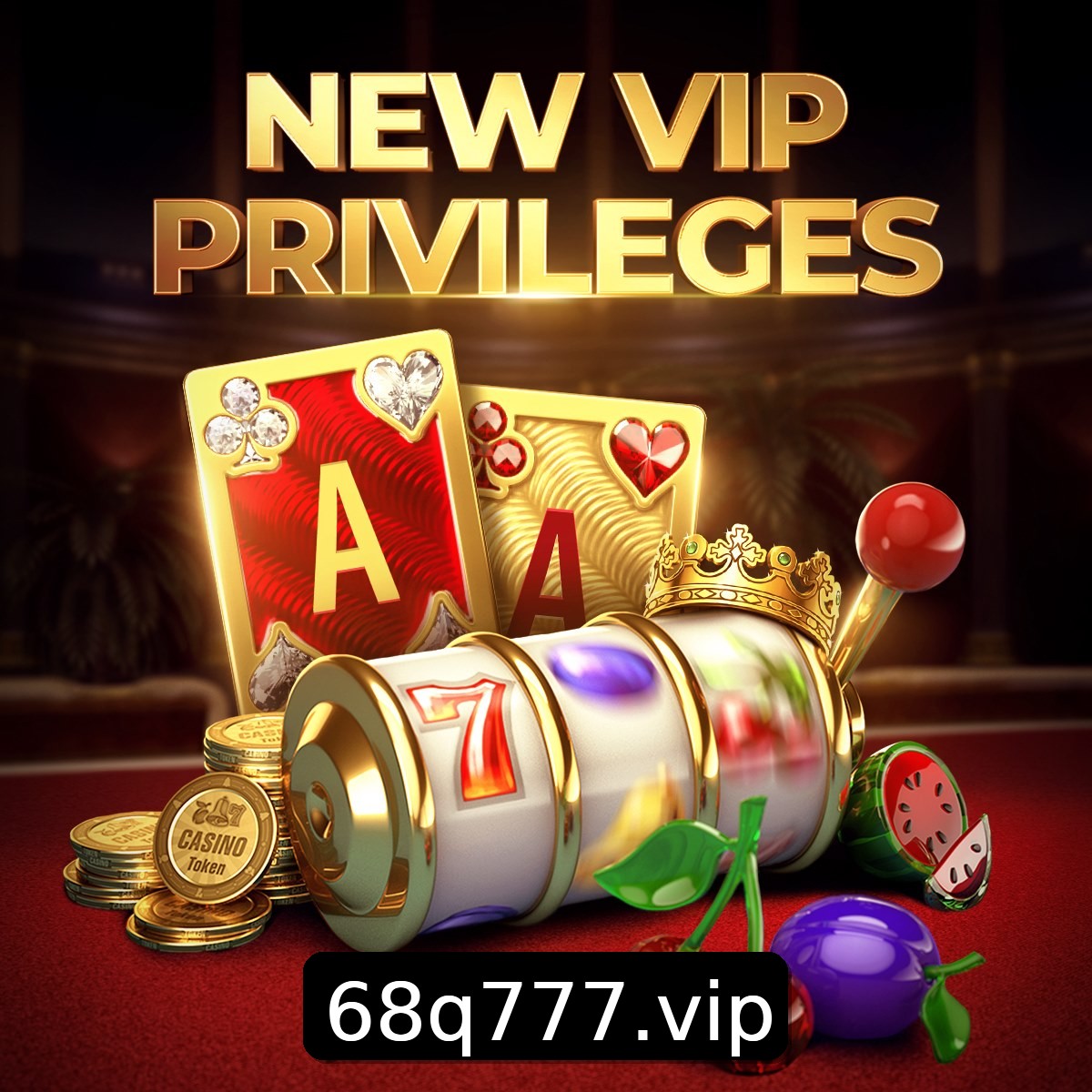 Programa VIP 68q